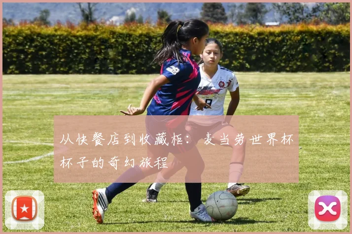 从快餐店到收藏柜：麦当劳世界杯杯子的奇幻旅程