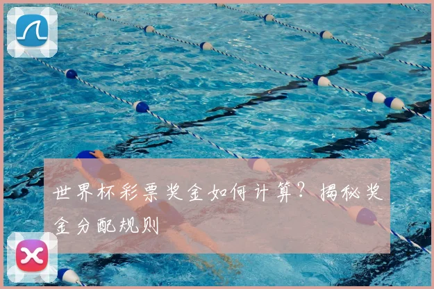 世界杯彩票奖金如何计算？揭秘奖金分配规则
