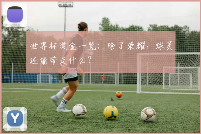 世界杯奖金一览：除了荣耀，球员还能带走什么？