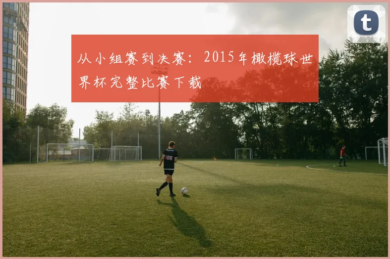 从小组赛到决赛：2015年橄榄球世界杯完整比赛下载
