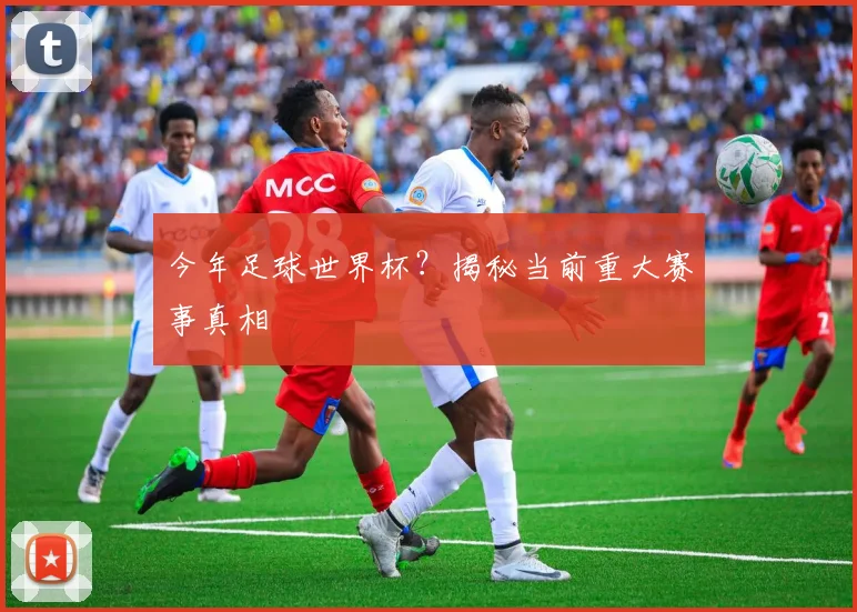 今年足球世界杯？揭秘当前重大赛事真相