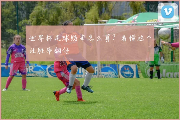 世界杯足球赔率怎么算？看懂这个让胜率翻倍