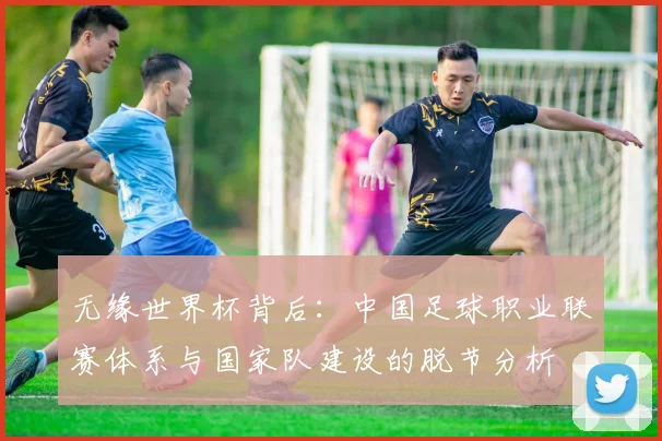 无缘世界杯背后：中国足球职业联赛体系与国家队建设的脱节分析