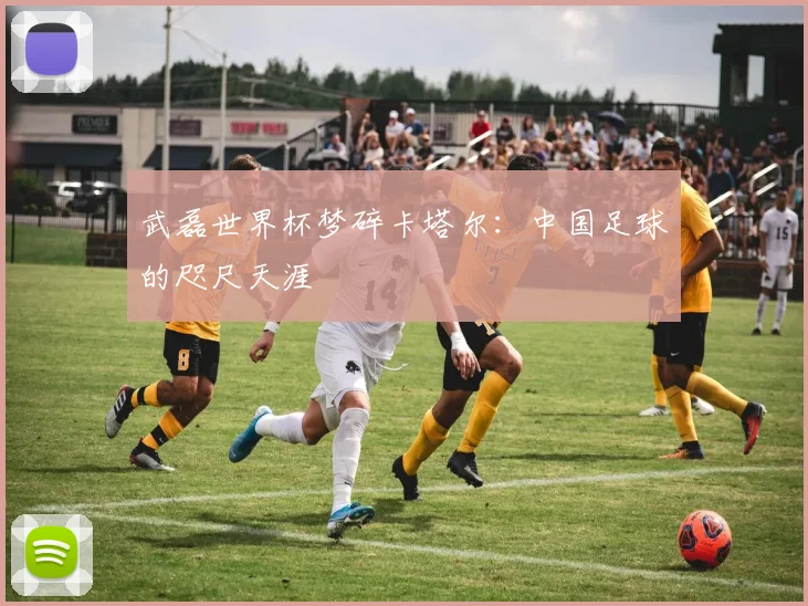 武磊世界杯梦碎卡塔尔：中国足球的咫尺天涯